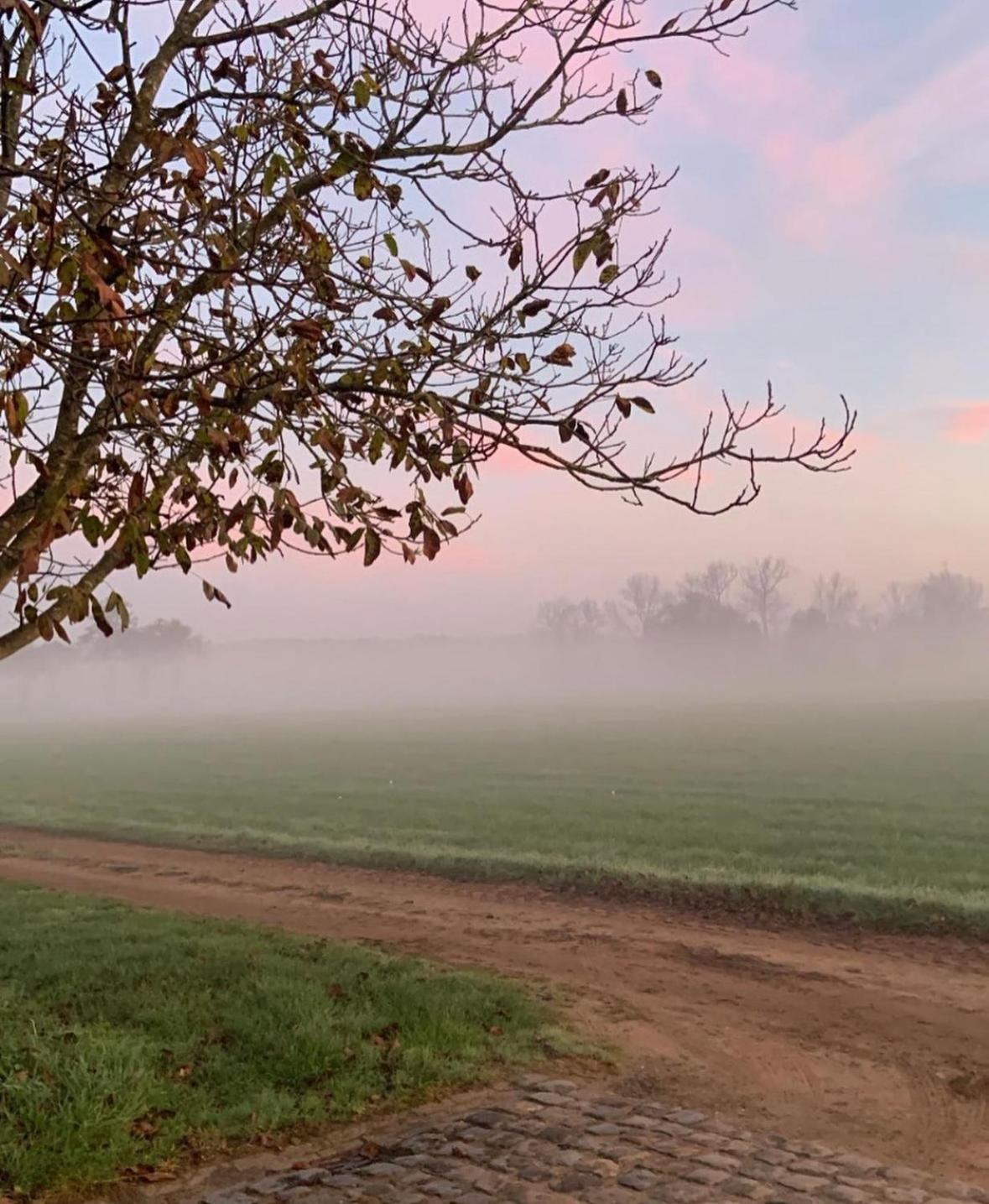 B&B Droomzoet Herentals Exteriér fotografie