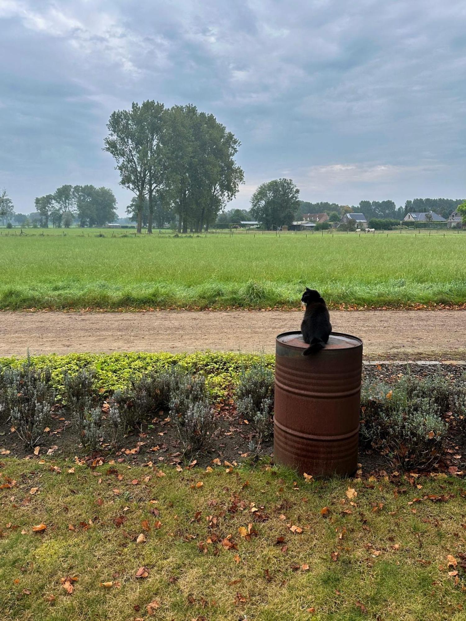 B&B Droomzoet Herentals Exteriér fotografie