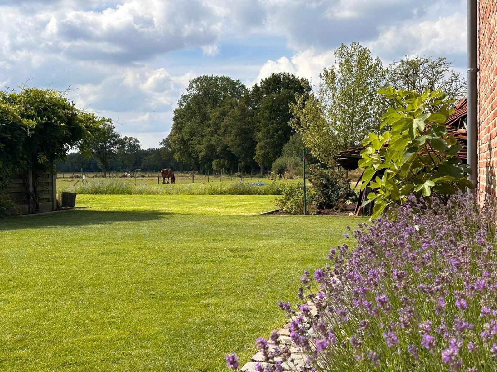 B&B Droomzoet Herentals Exteriér fotografie